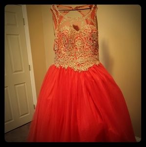 Beautiful Quincinera/Sweet 16 Dress